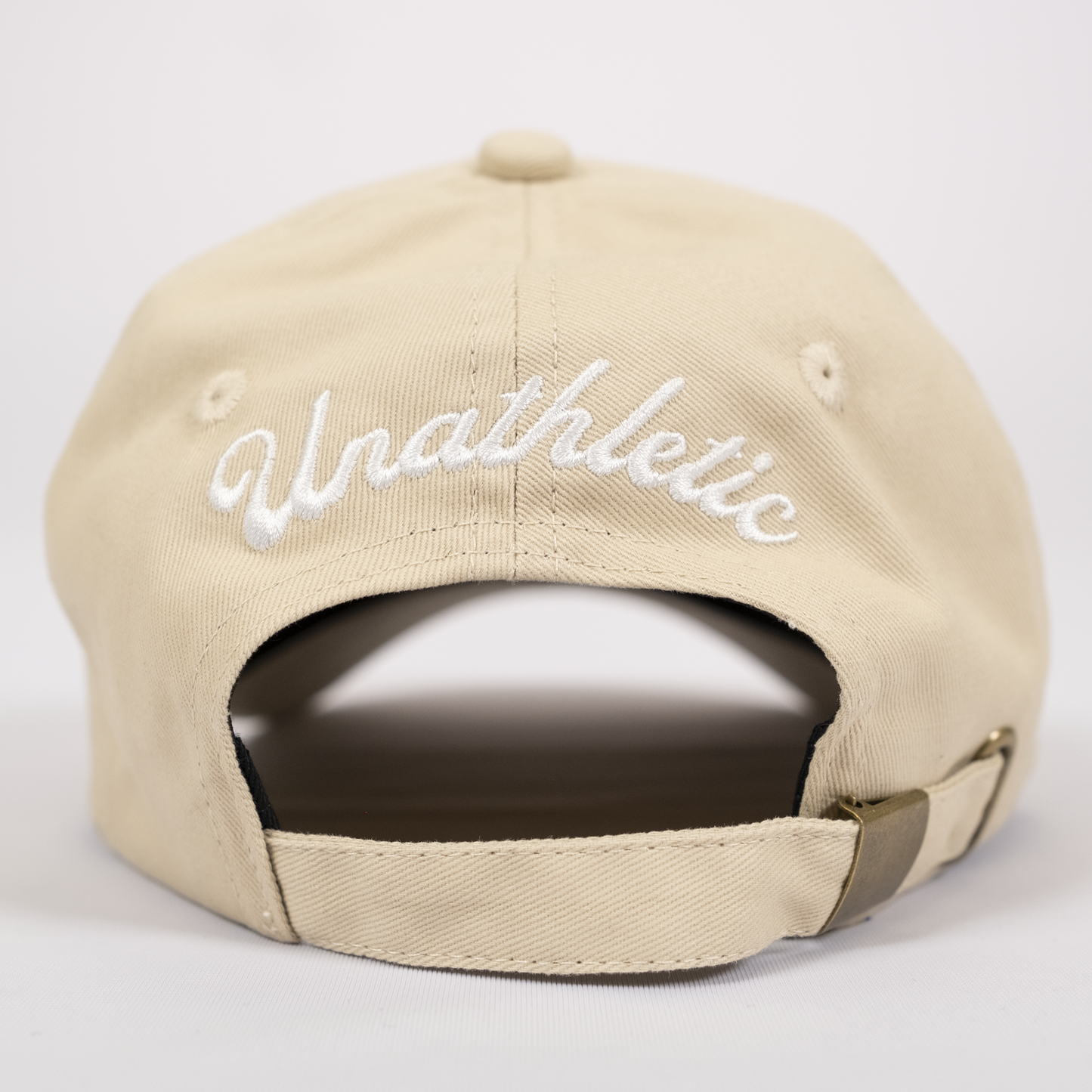 Professional Hobbyist Dad Hat